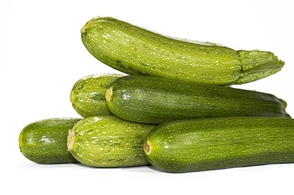 Zucchino - Plantgest.com