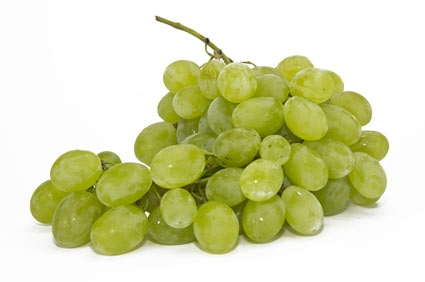 Vite per uva da tavola - Plantgest.com