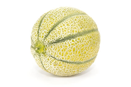 Melone - Plantgest.com