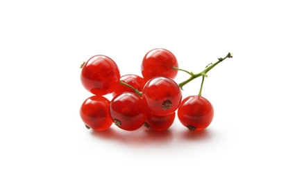 Ribes rosso - Plantgest.com