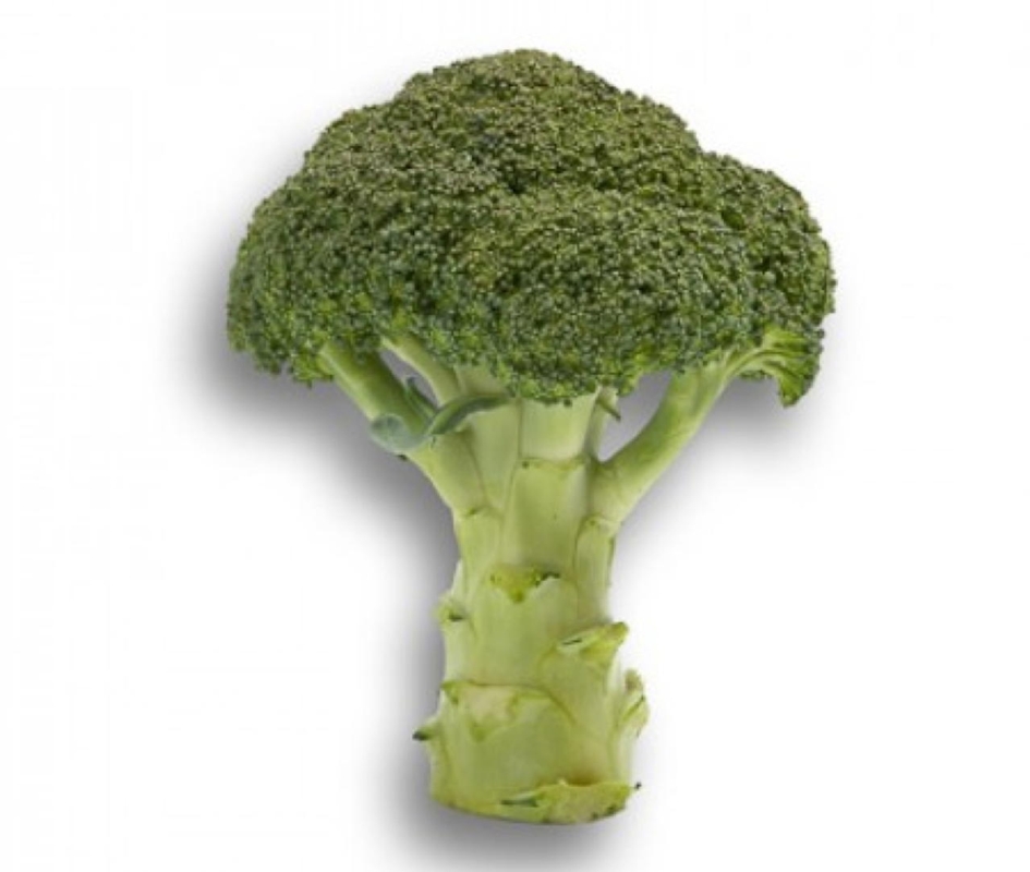 Cavolo Broccolo Agassi RZ F1 - Plantgest.com