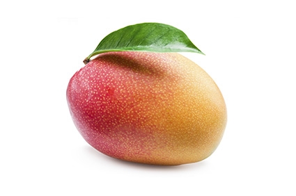 Mango - Plantgest.com