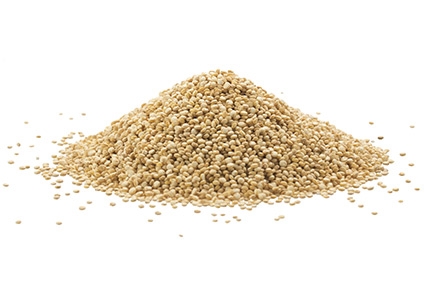 Quinoa - Plantgest.com